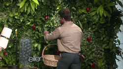 This is a GIF of Nick the gardener.
