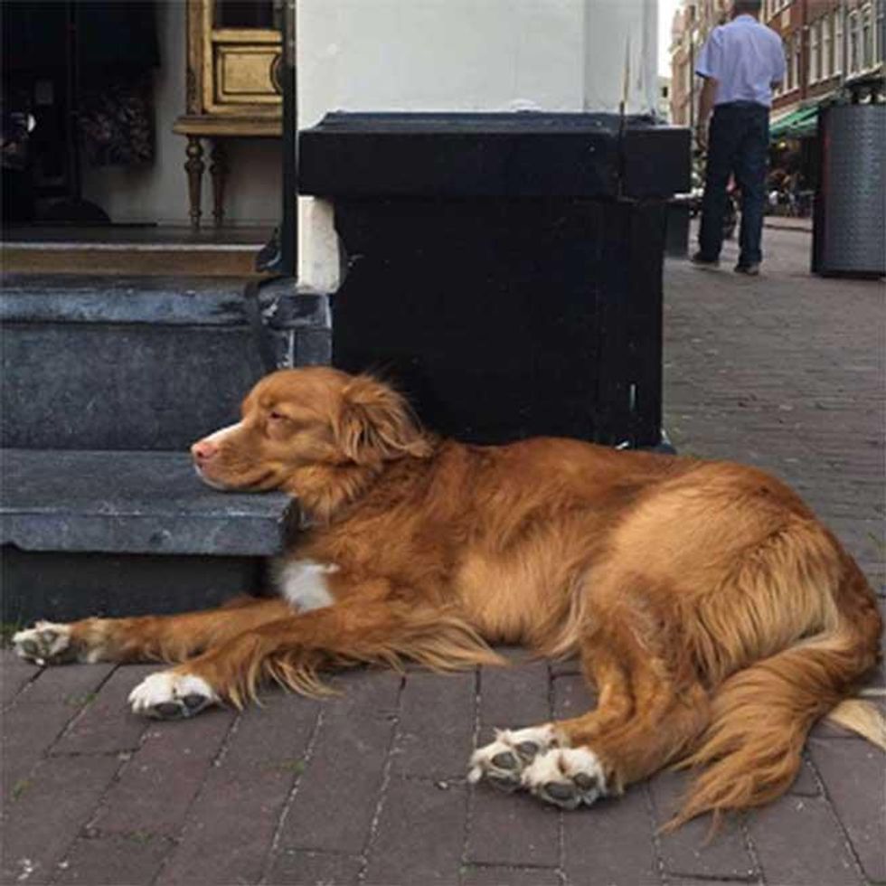 Troye Sivan -- @troyesivan