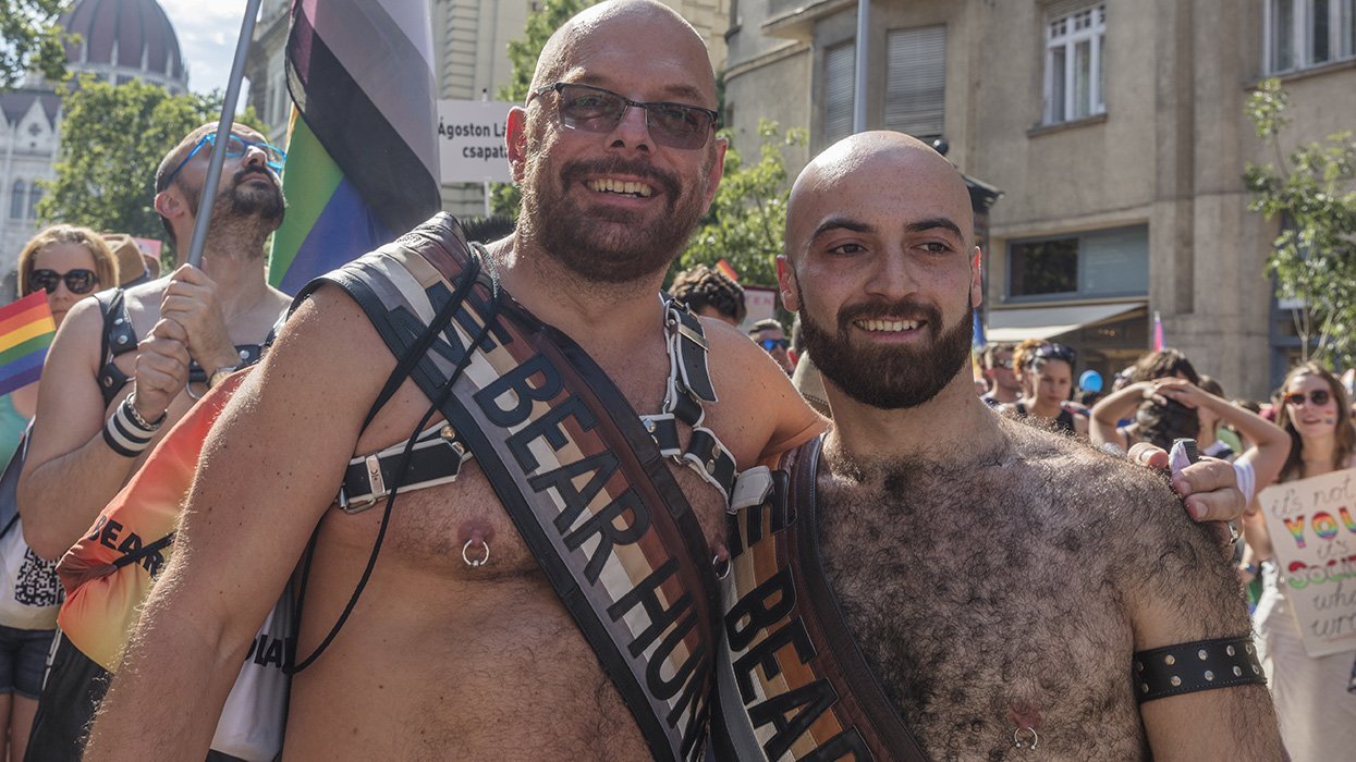 two bears at pride