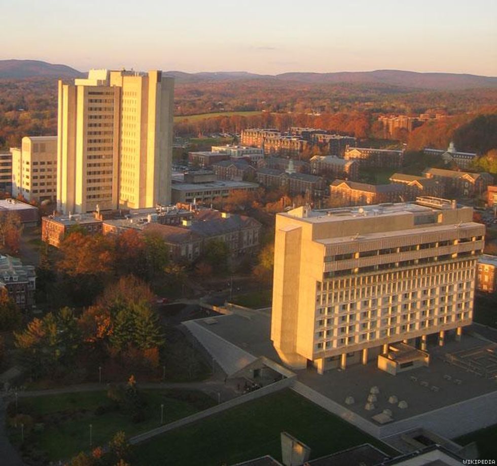 University of Massachusetts, Amherst