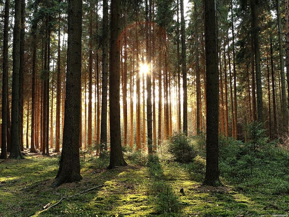 What to Do If You're Not Kink-Compatible