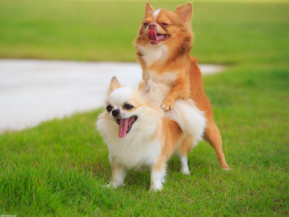 What to Do If You're Not Kink-Compatible