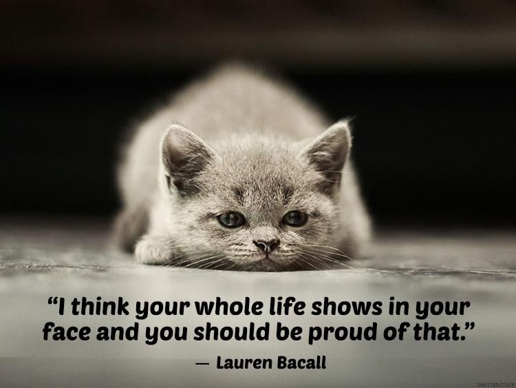 10 Body Positive Cat Posters to Inspire You This Summer