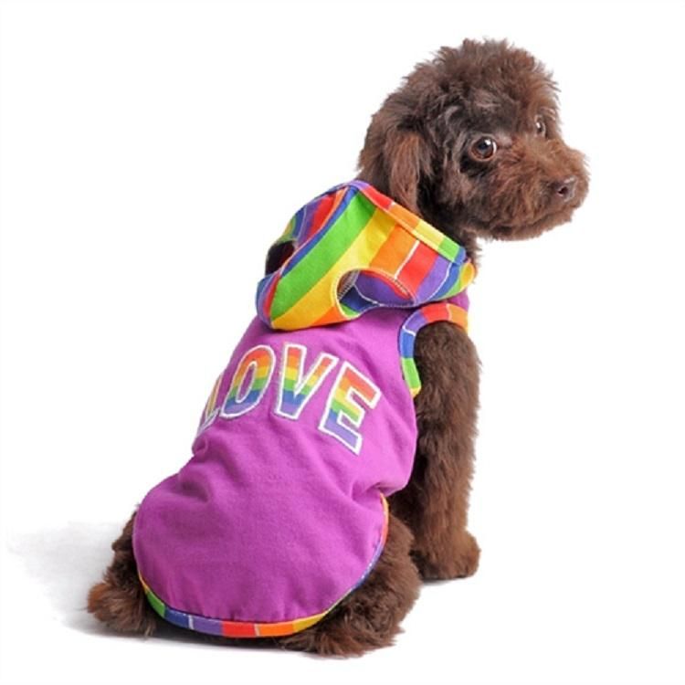 pride dog clothes