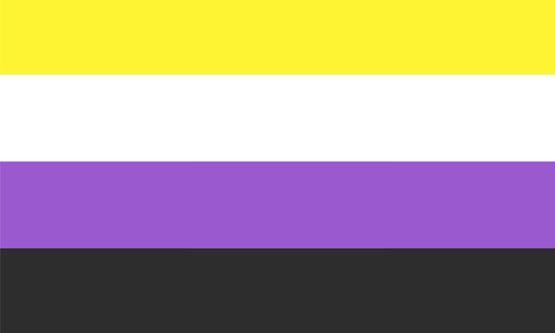 Non Binary Flag