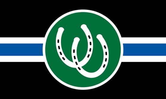 Pony Flag